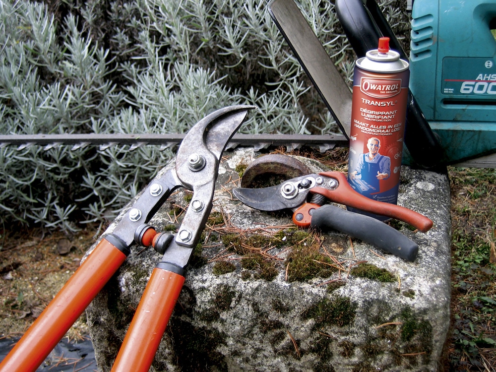 Transyl can next to tools