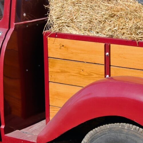 Textrol used on automobile