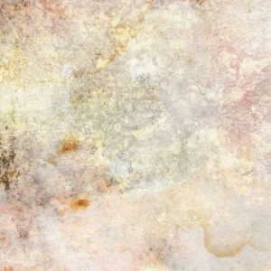 Prima-pro-stain Prima-pro-stain