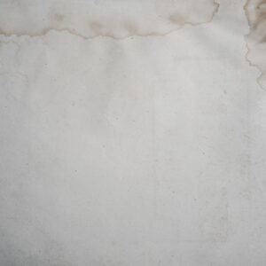 Prima-pro-stain2 Prima-pro-stain2