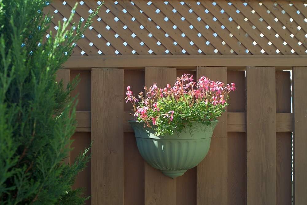 garden fence trellis
