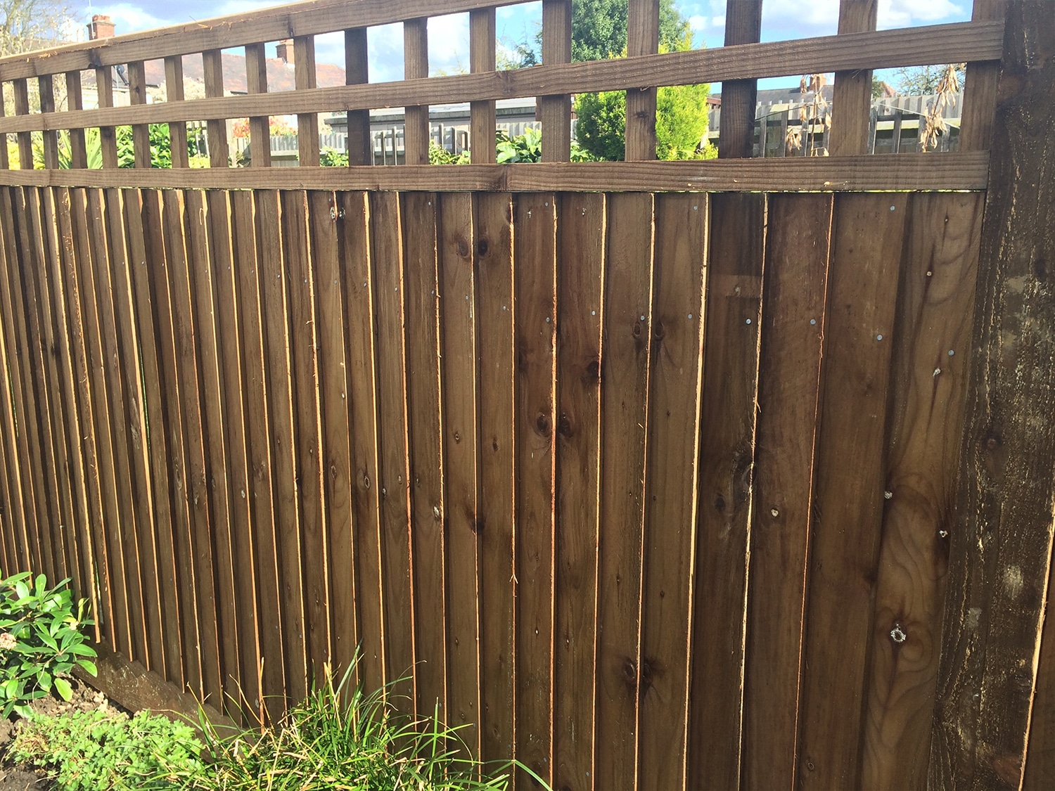 Protected wooden fence