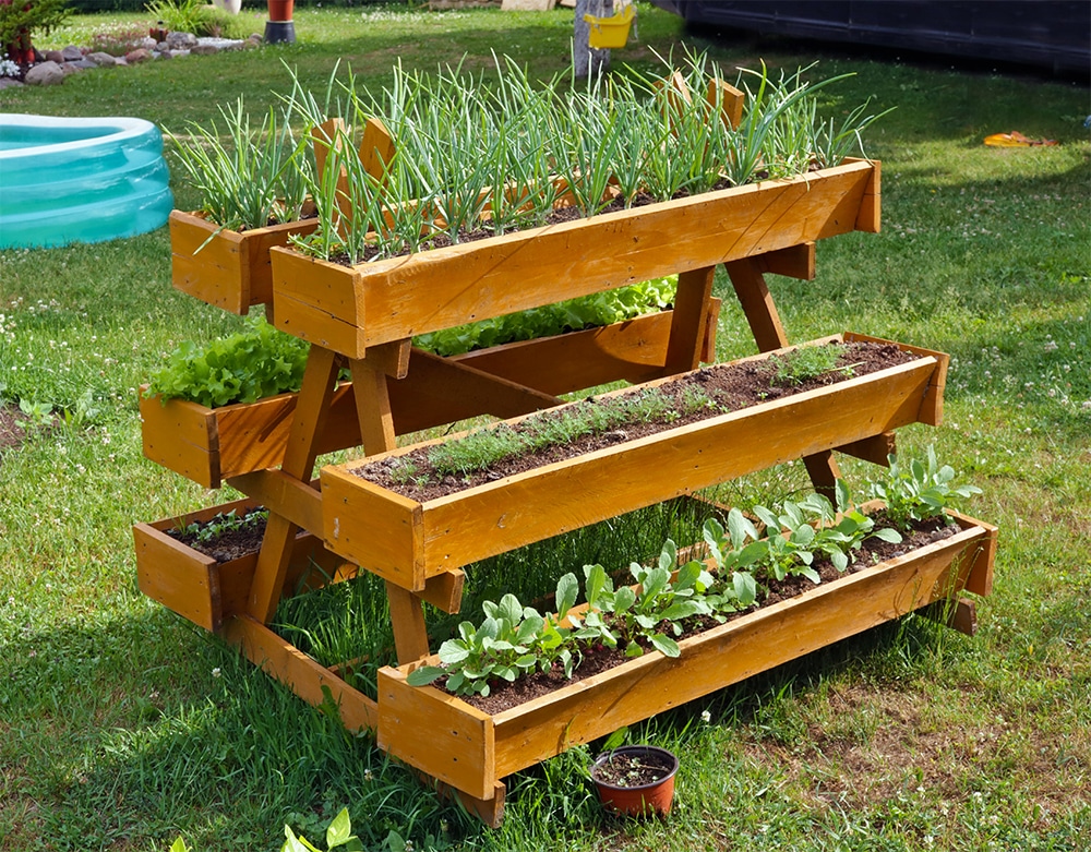 Raised garden beds