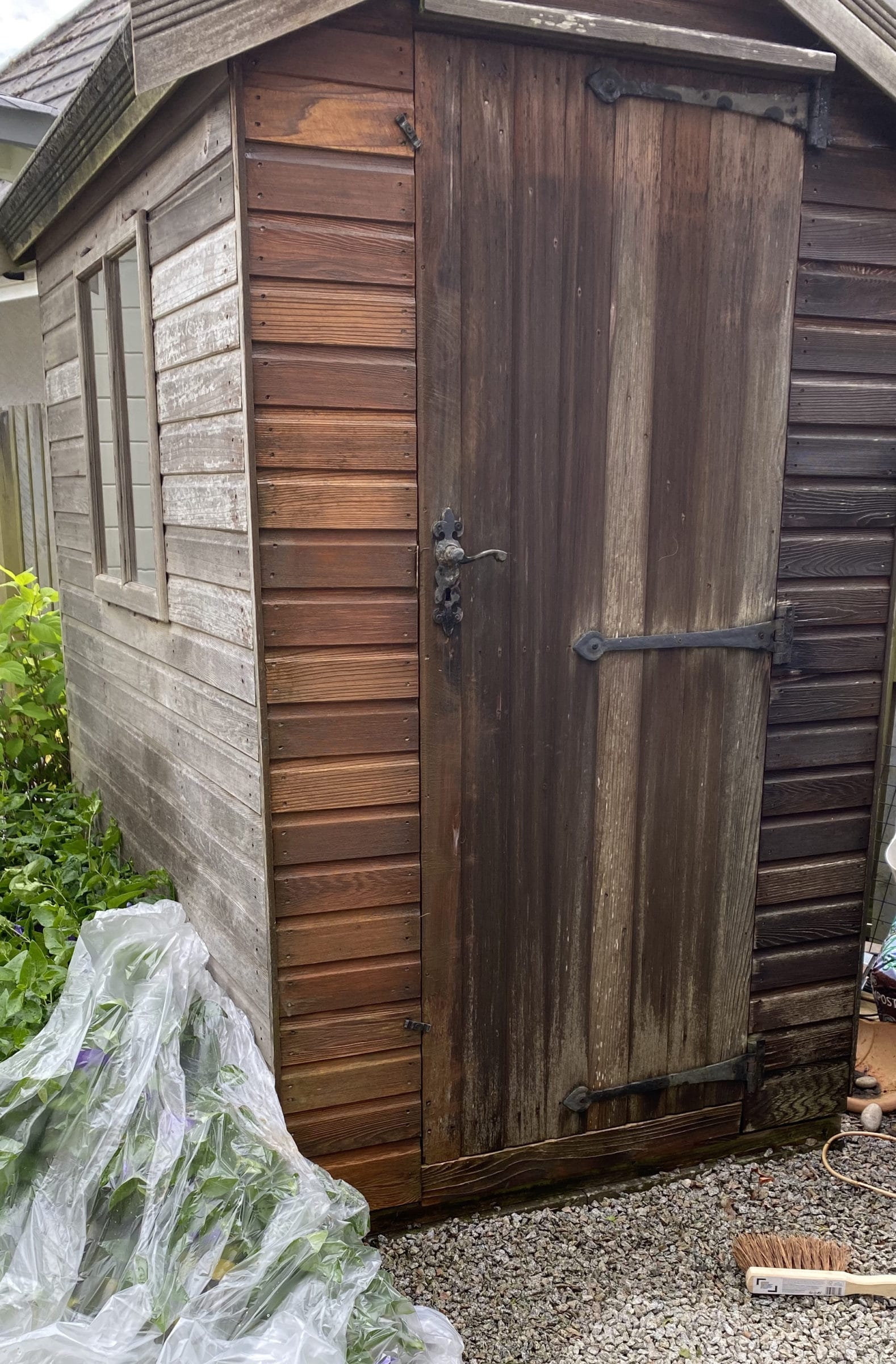 Cedar shed restored with Owatrol by Karen Park - before