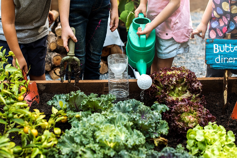 Children learning to garden