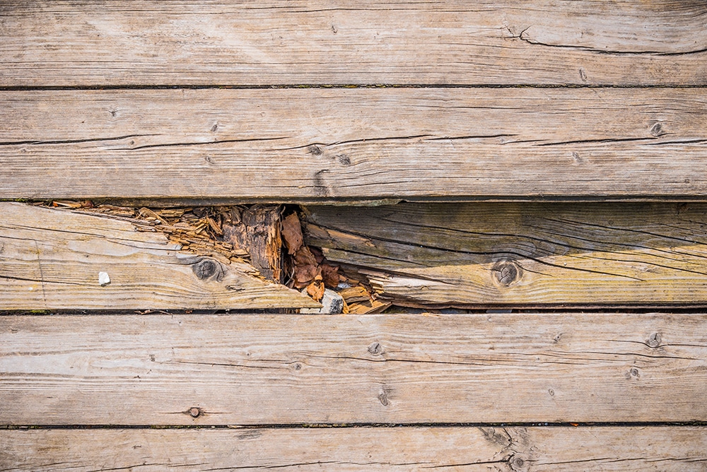 Damaged deck board in need of replacement