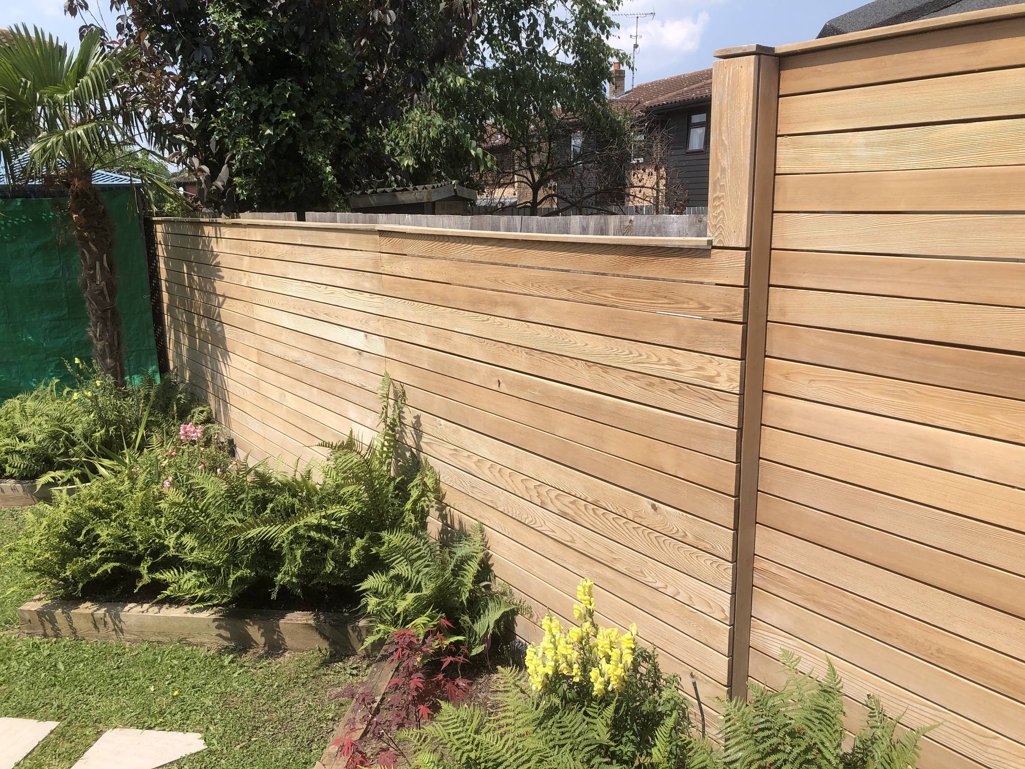 cedar fencing after Net-Trol - by Roger