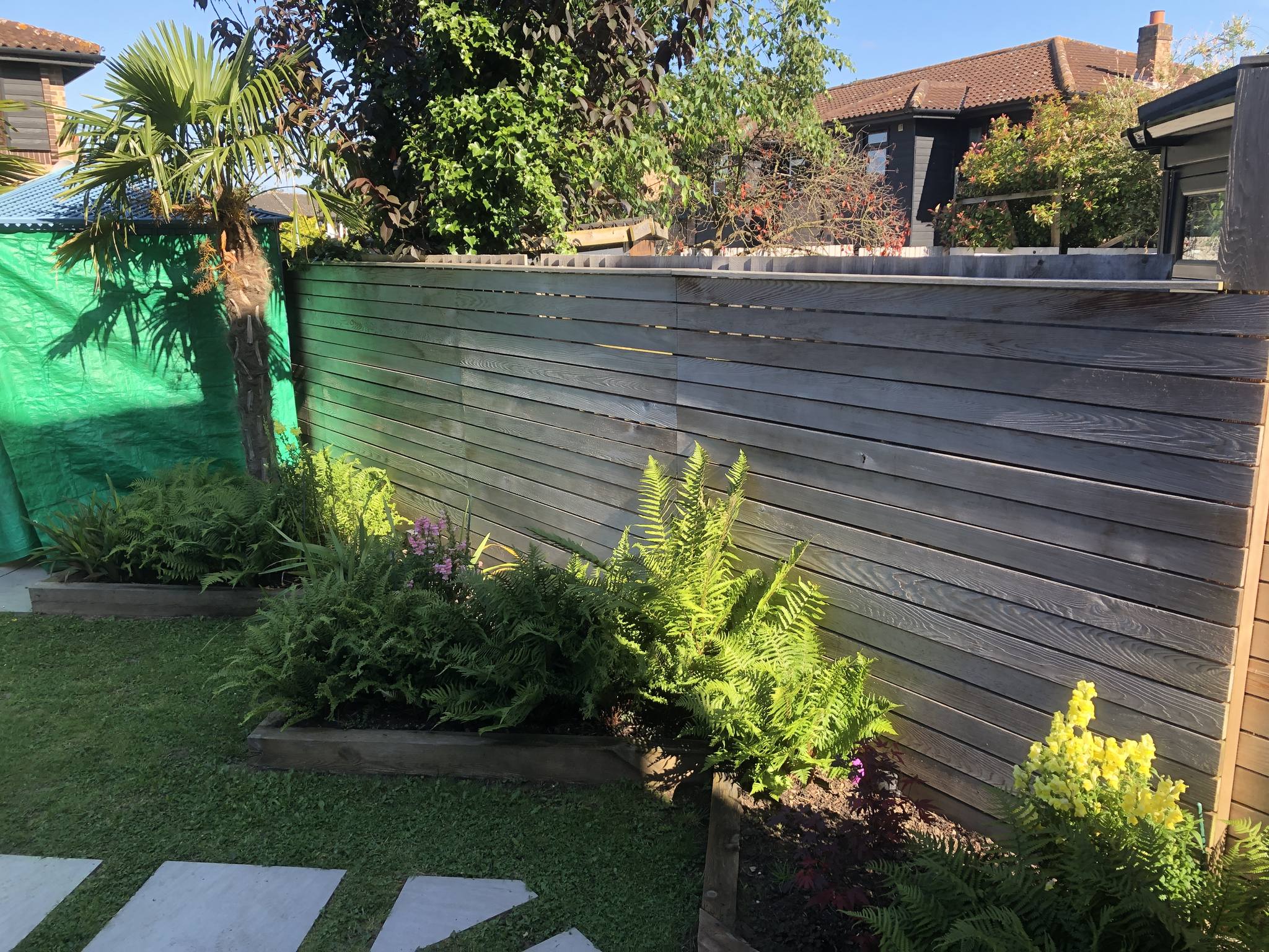 cedar fencing before Net-Trol & Aquadecks - by Roger